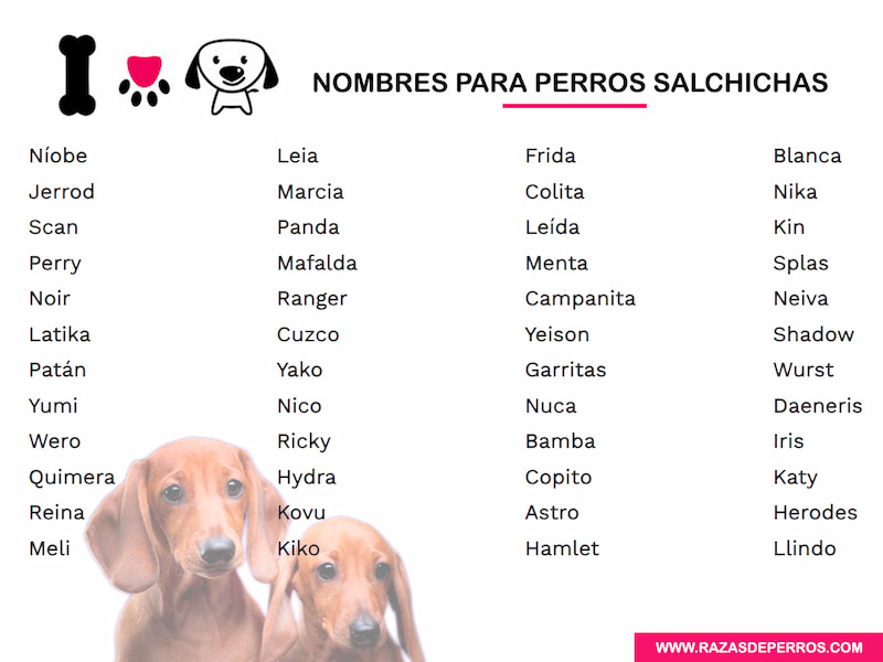 Top 200 Nombres Perros Salchichas | Actualizado 2021