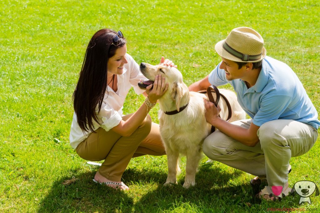 10 Maneras En Las Que Tu Perro Te Demuestra Cariño Razas De Perros