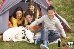 familia con su perro dámata de camping