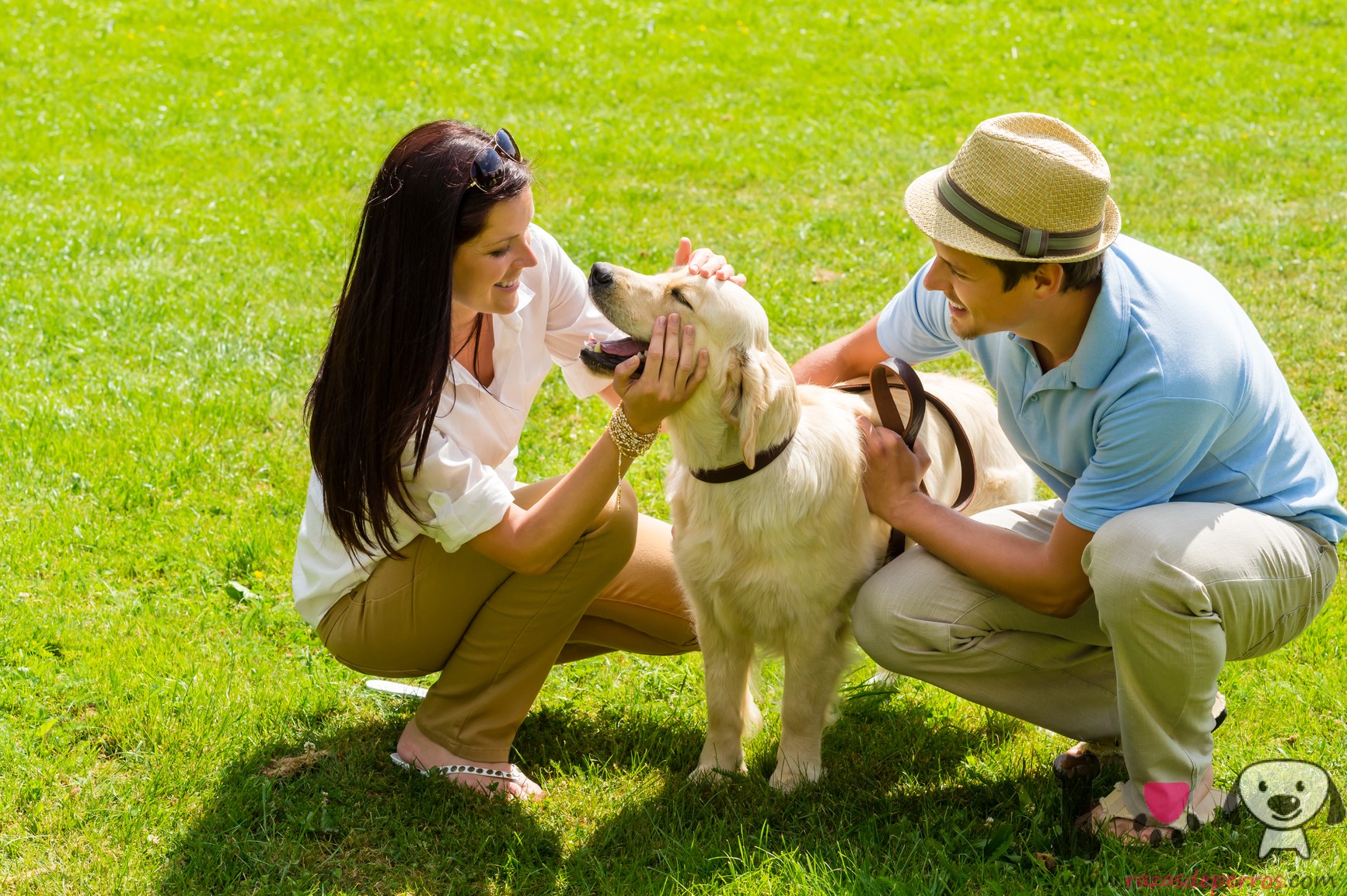 Pet park. Домашние животные и человек. Хозяин собаки. Человек с собакой. Домашние животные с хозяевами.