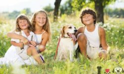 familia con su perro en el campo