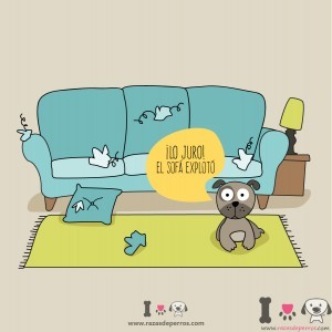Perro ha destrozado el sofa