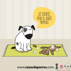 Perro destroza peluche