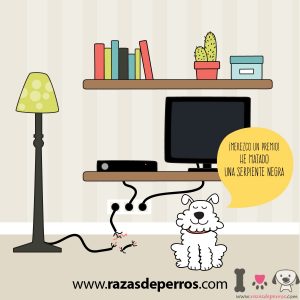 dibujo de perro serpiente negra