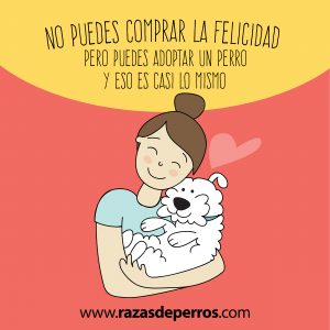 adoptar un perro da felicidad