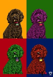 cuado perro popart
