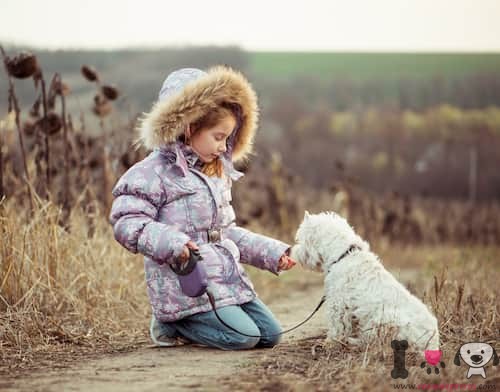 Niña con su perro pequeño